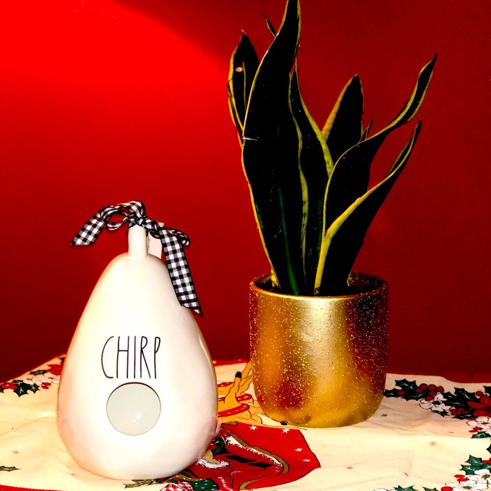 Chirp piggy bank